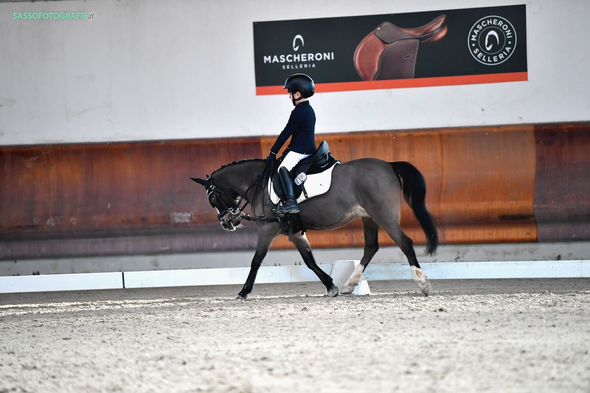 DREAM PAD PONY