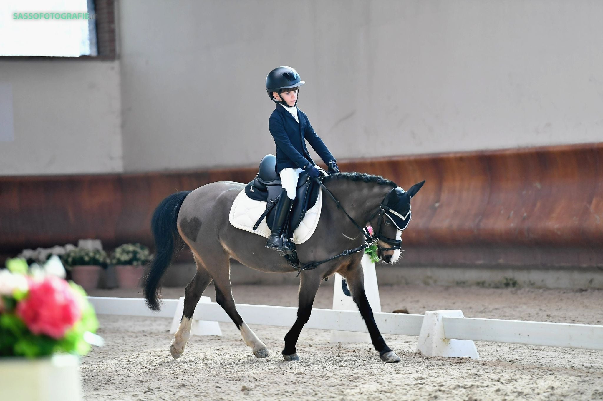 DREAM PAD PONY